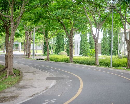 green-road-street-transportation